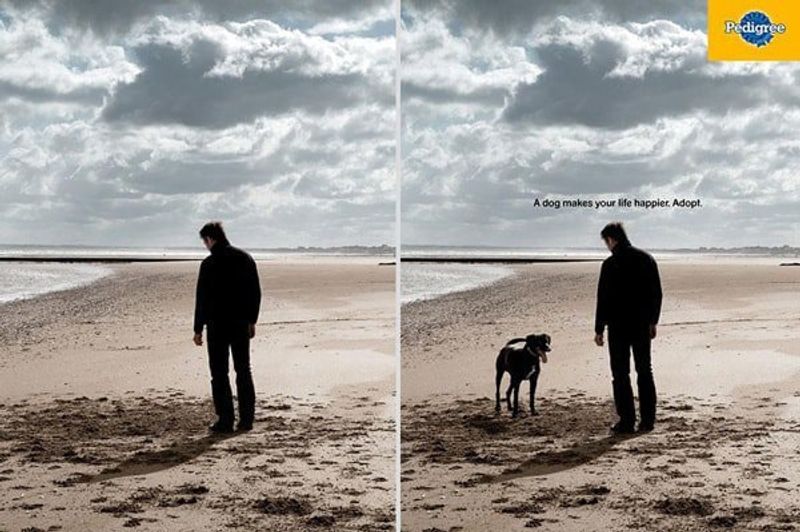 Pedigree A Dog Makes your Life Happier